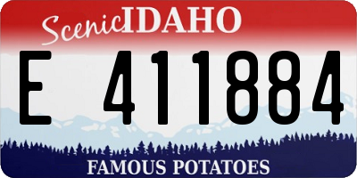 ID license plate E411884