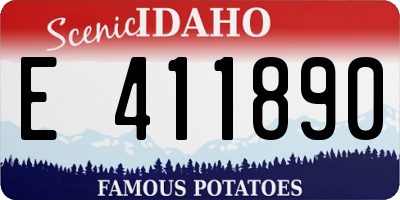 ID license plate E411890