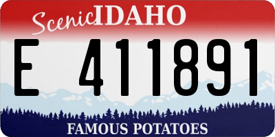 ID license plate E411891