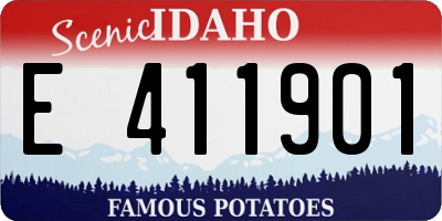 ID license plate E411901