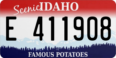 ID license plate E411908