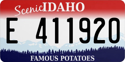 ID license plate E411920