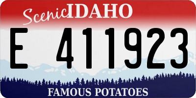 ID license plate E411923
