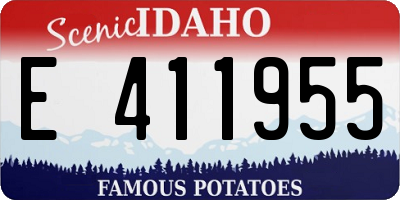 ID license plate E411955