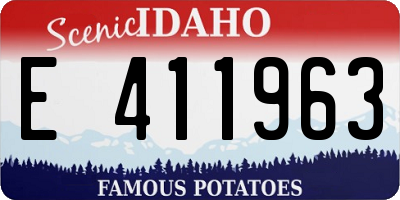 ID license plate E411963