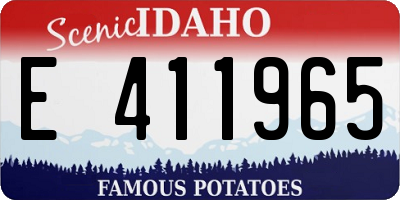ID license plate E411965