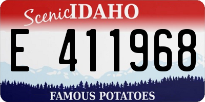ID license plate E411968