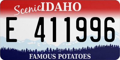 ID license plate E411996