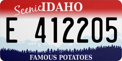 ID license plate E412205