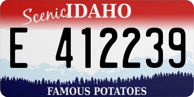 ID license plate E412239