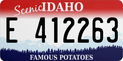 ID license plate E412263
