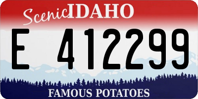 ID license plate E412299