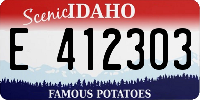 ID license plate E412303