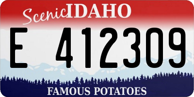 ID license plate E412309