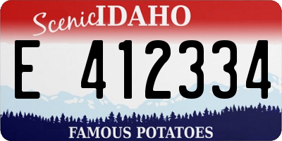 ID license plate E412334
