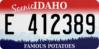 ID license plate E412389