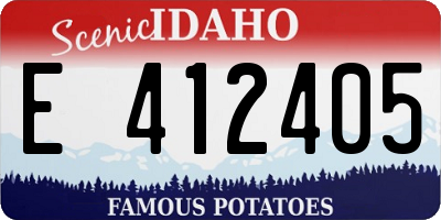 ID license plate E412405