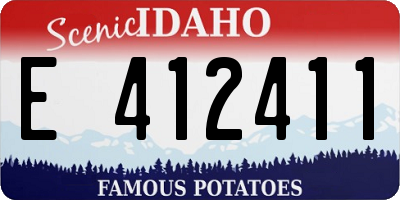 ID license plate E412411