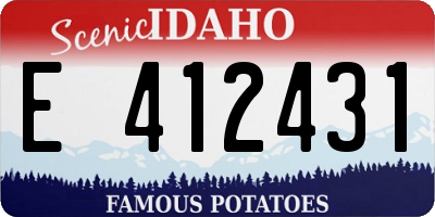 ID license plate E412431