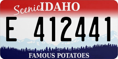 ID license plate E412441