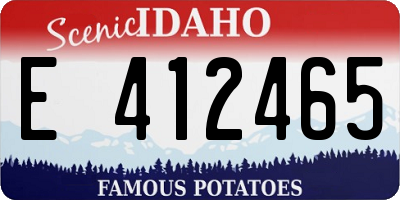 ID license plate E412465