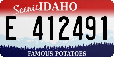 ID license plate E412491