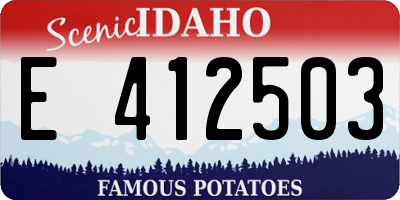 ID license plate E412503