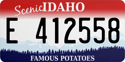ID license plate E412558