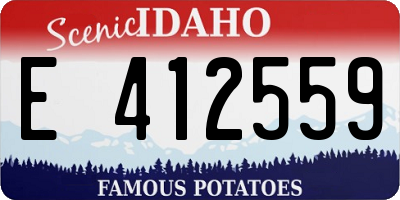 ID license plate E412559