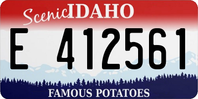 ID license plate E412561