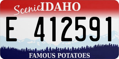 ID license plate E412591