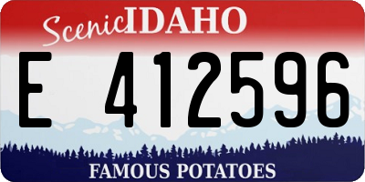 ID license plate E412596