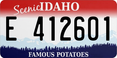 ID license plate E412601