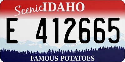 ID license plate E412665