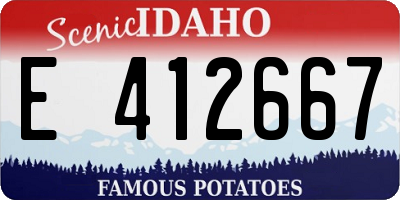 ID license plate E412667