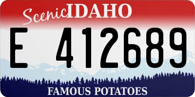 ID license plate E412689