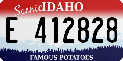 ID license plate E412828