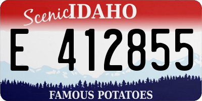ID license plate E412855