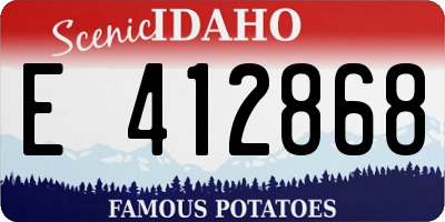 ID license plate E412868