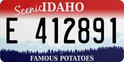 ID license plate E412891