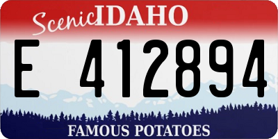 ID license plate E412894