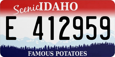 ID license plate E412959