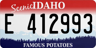 ID license plate E412993