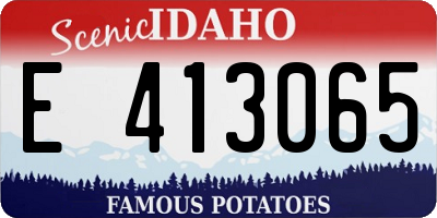 ID license plate E413065