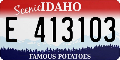 ID license plate E413103
