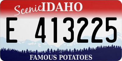 ID license plate E413225