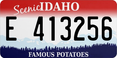 ID license plate E413256