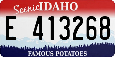 ID license plate E413268