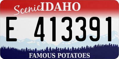 ID license plate E413391