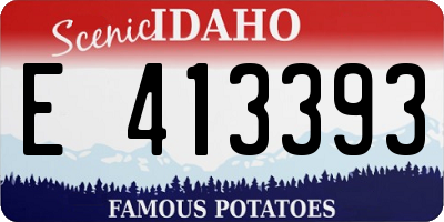 ID license plate E413393